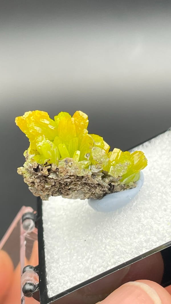 Canary-yellow stacked pyromorphite crystals from Guangdong, China, in a box, reverse side