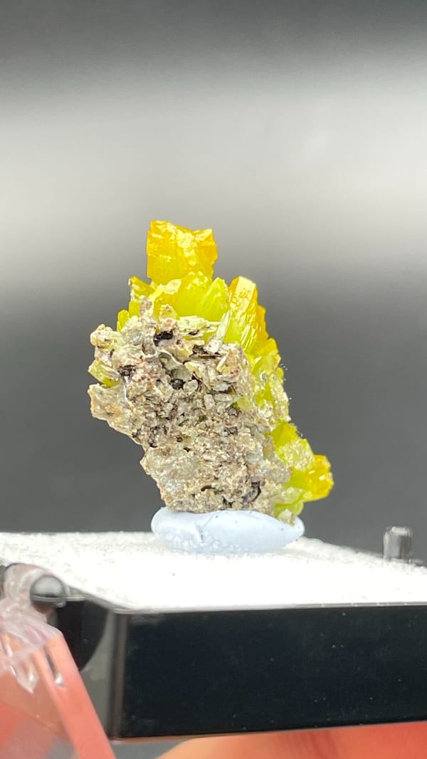 Canary-yellow stacked pyromorphite crystals from Guangdong, China, in a box, top view