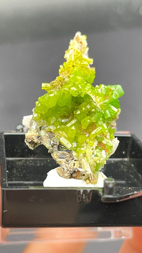 Bright lime-green stacked pyromorphite crystals from Guangdong, China, in a box, top view