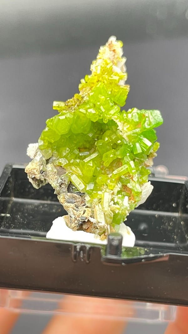 Bright lime-green stacked pyromorphite crystals from Guangdong, China, in a box, detail of the matrix contact