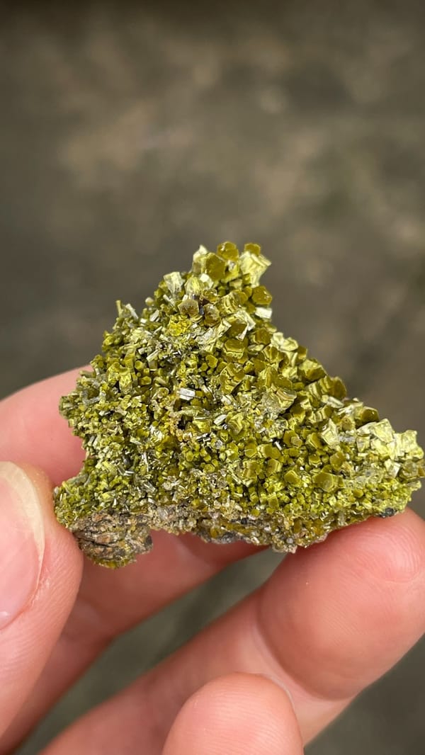 Olive matcha-green pyromorphite crust from Guangdong, China, held in hand