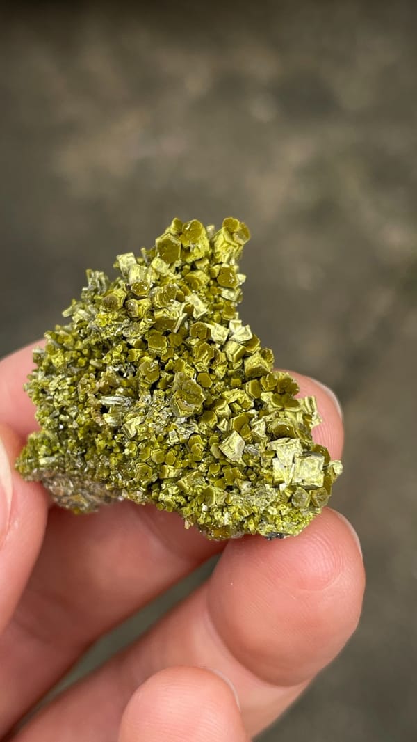 Olive matcha-green pyromorphite crust from Guangdong, China, close-up of the crystal faces