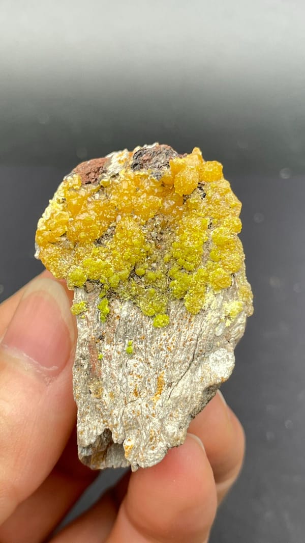 Mustard-yellow pyromorphite crust on a grey slab from Guangdong, China