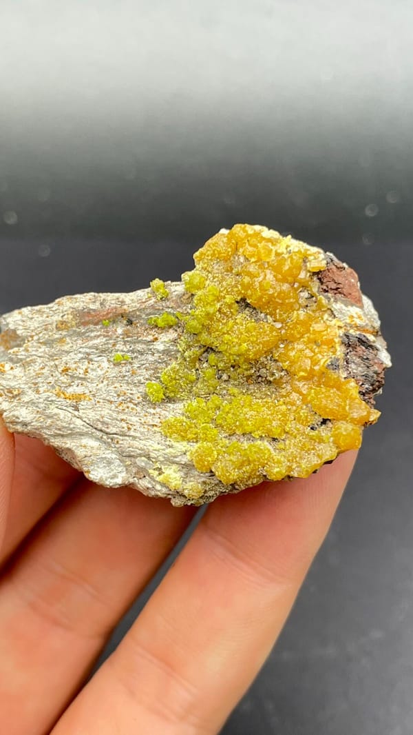 Mustard-yellow pyromorphite crust on a grey slab from Guangdong, China, close-up of the crystal faces