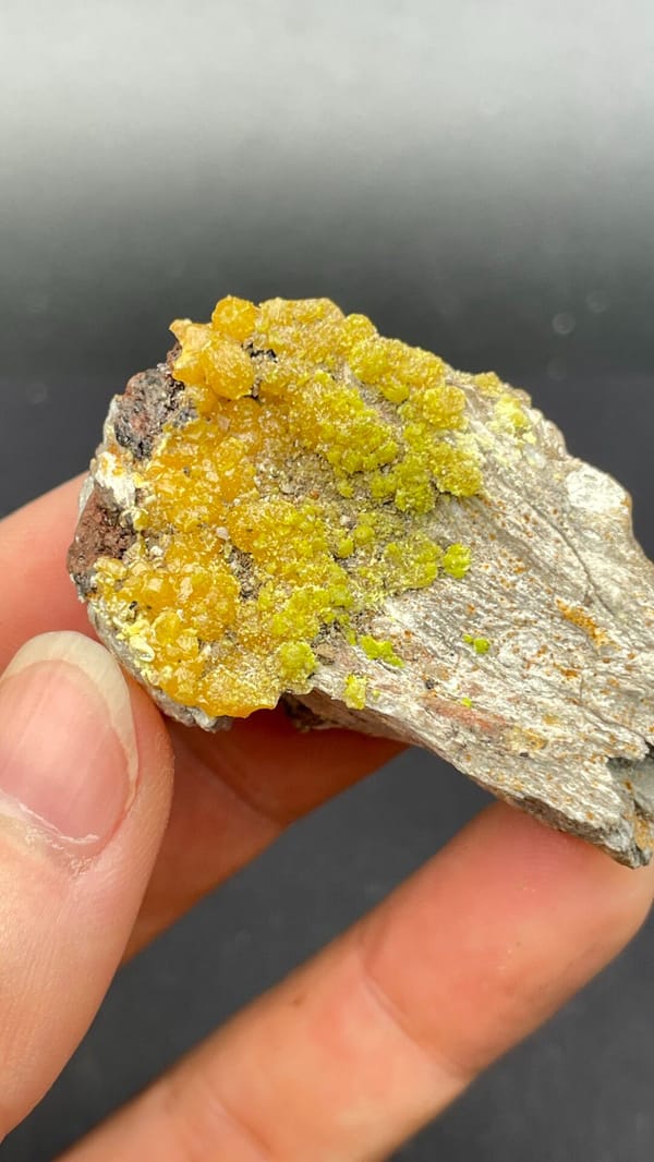 Mustard-yellow pyromorphite crust on a grey slab from Guangdong, China, reverse side