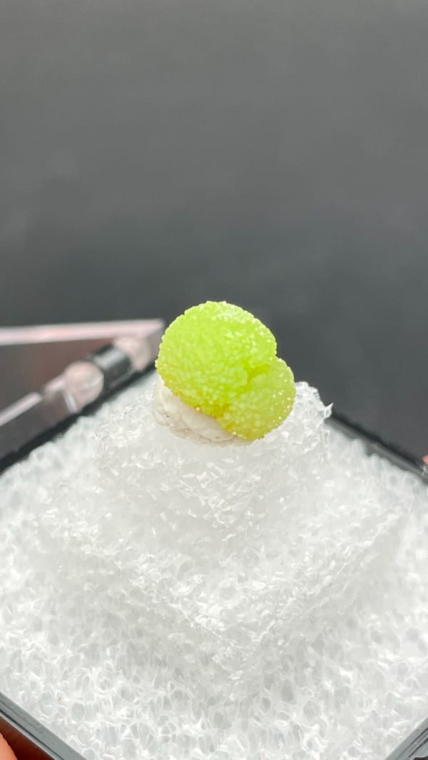 Single apple-green pyromorphite ball from Guangxi, China, in a display box