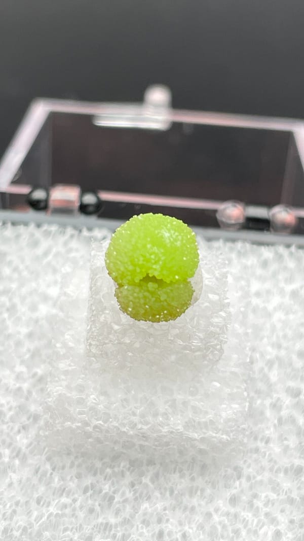 Single apple-green pyromorphite ball from Guangxi, China, in a display box, close-up of the crystal faces