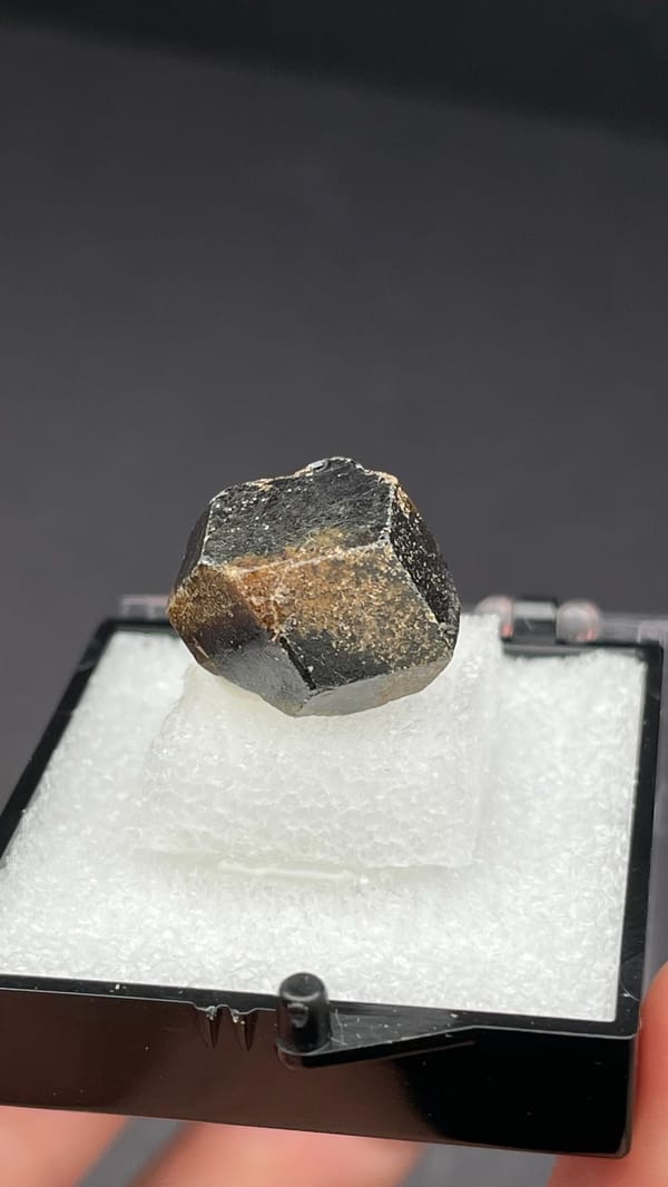 Brown dodecahedral andradite garnet crystal from Handan, Hebei, China, in a box