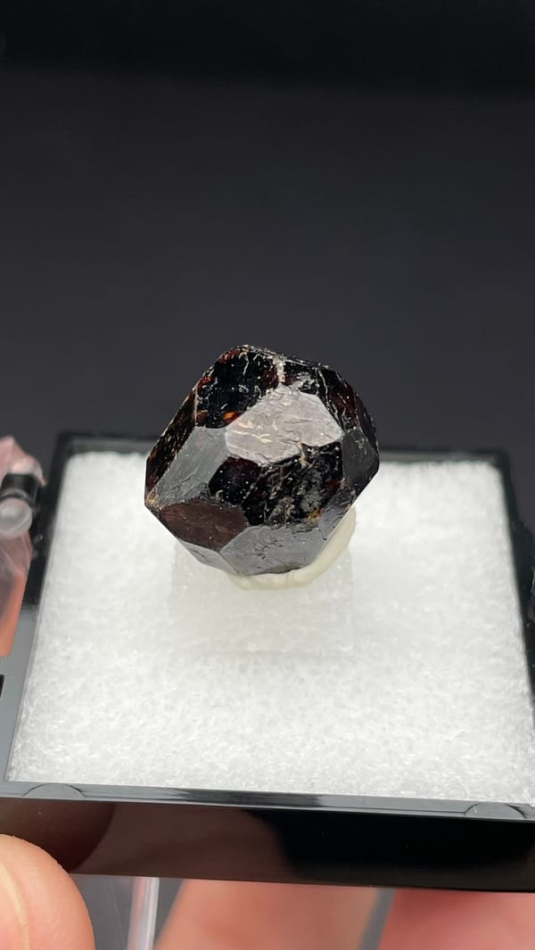 Dark brown dodecahedral andradite garnet single crystal from Handan, Hebei, China, detail of the matrix contact