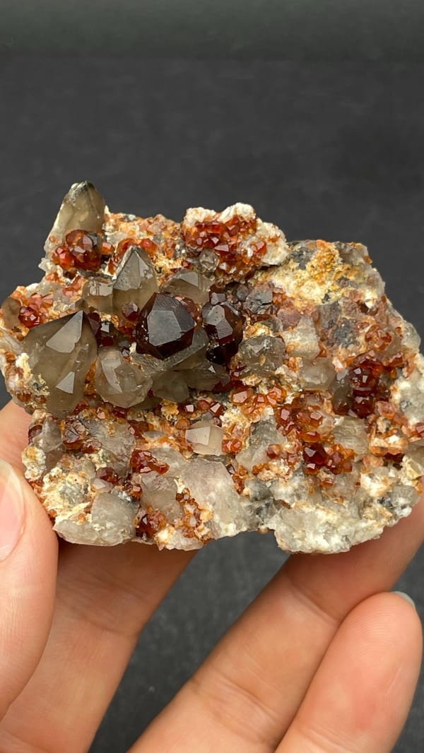 Dark red garnets with smoky quartz on a pale plate from Yunxiao, Fujian, China