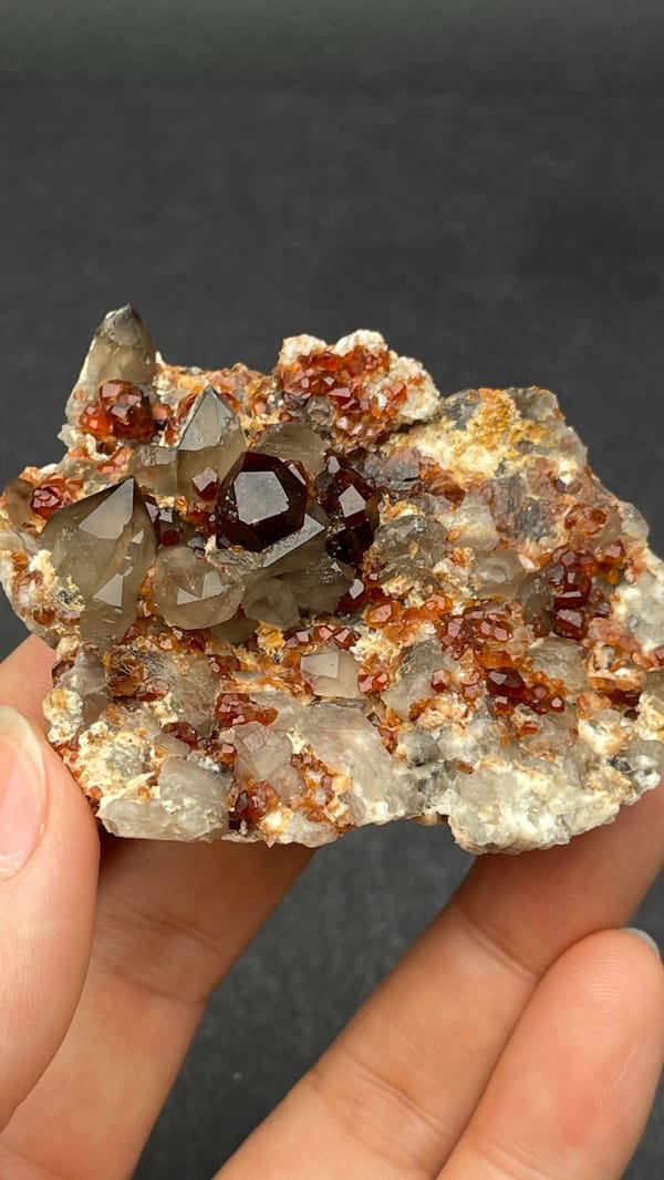 Dark red garnets with smoky quartz on a pale plate from Yunxiao, Fujian, China, close-up of the crystal faces