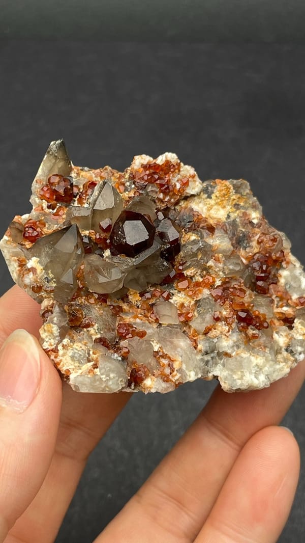 Dark red garnets with smoky quartz on a pale plate from Yunxiao, Fujian, China, reverse side