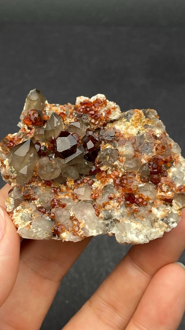 Dark red garnets with smoky quartz on a pale plate from Yunxiao, Fujian, China, top view