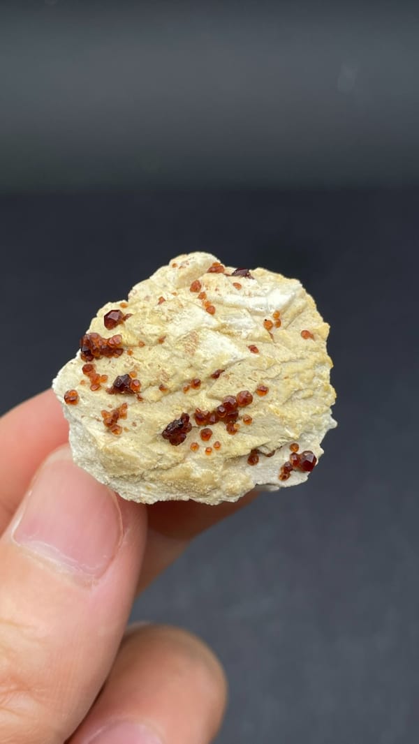 Dark red garnet crystals in cream matrix from Fujian, China, held in hand