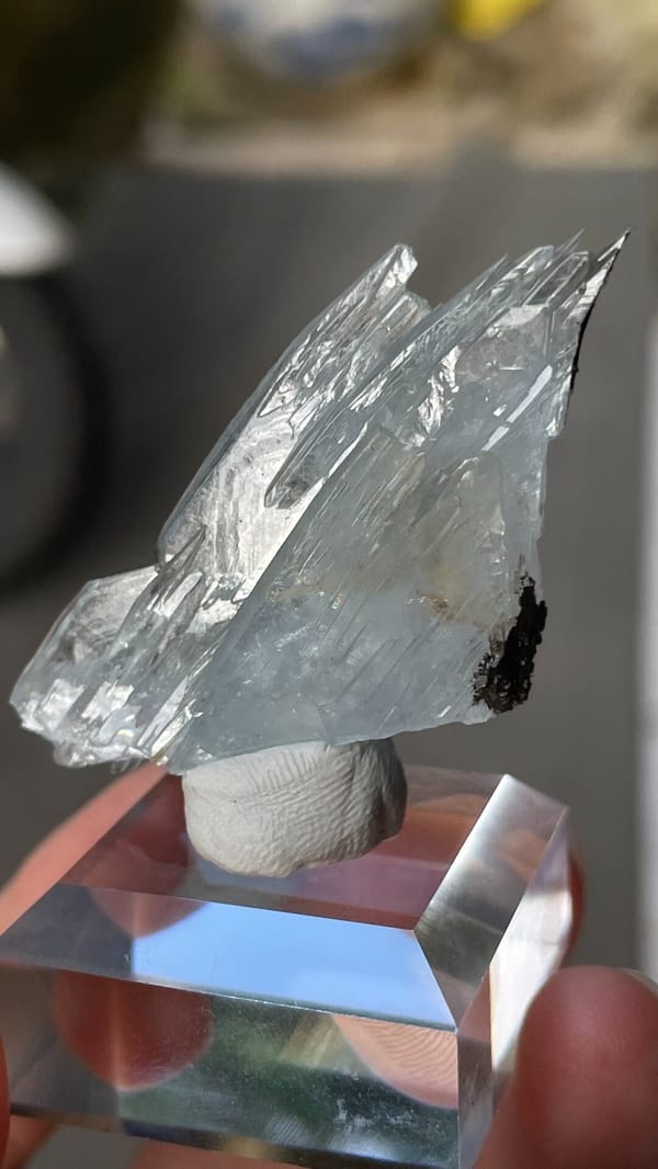 Fin-shaped pale blue baryte blades from Morocco, on an acrylic stand