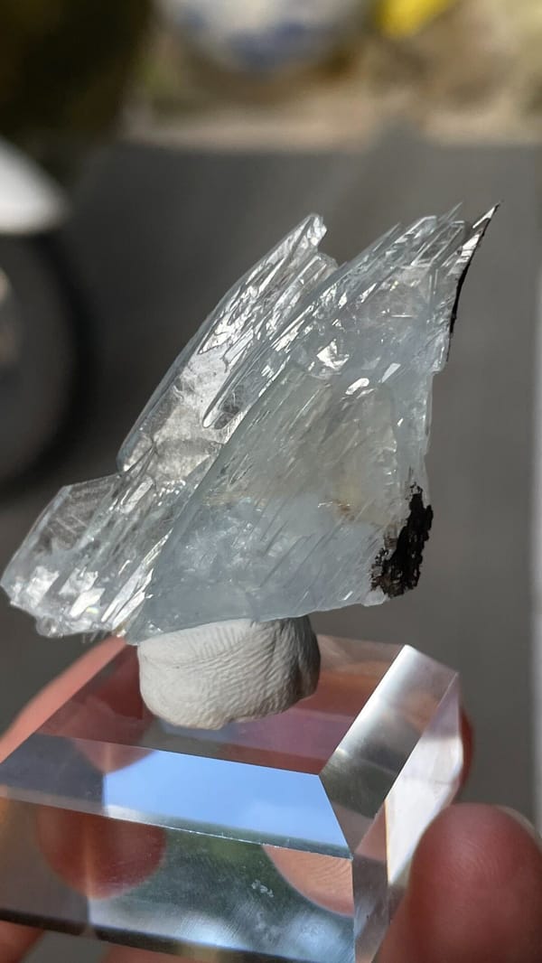 Fin-shaped pale blue baryte blades from Morocco, on an acrylic stand, second angle