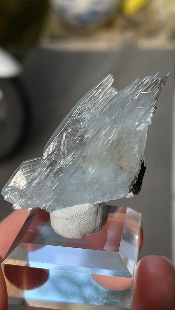 Fin-shaped pale blue baryte blades from Morocco, on an acrylic stand, close-up of the crystal faces