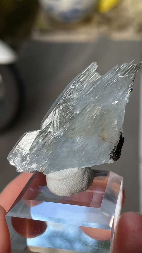 Fin-shaped pale blue baryte blades from Morocco, on an acrylic stand, reverse side