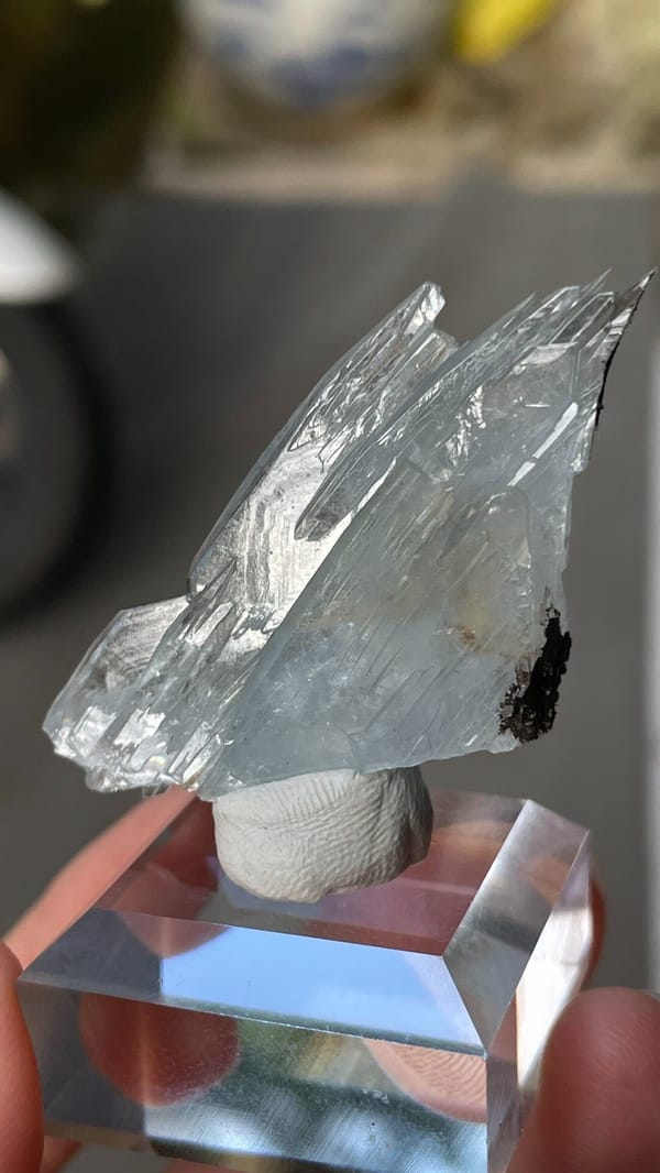 Fin-shaped pale blue baryte blades from Morocco, on an acrylic stand, top view