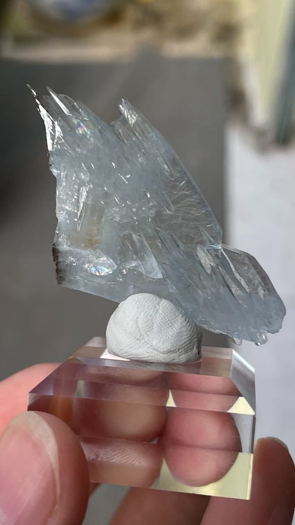 Fin-shaped pale blue baryte blades from Morocco, on an acrylic stand, detail of the matrix contact