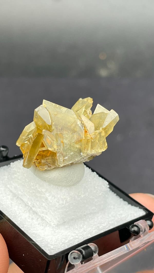 Golden-yellow baryte crystal cluster from Yunnan, China, in a display box, reverse side