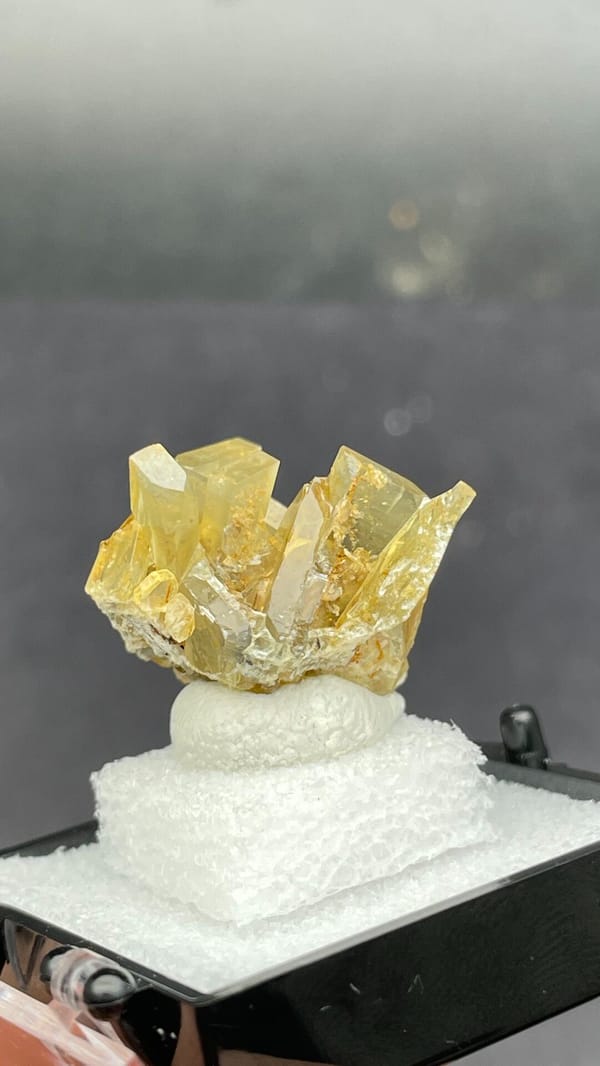 Golden-yellow baryte crystal cluster from Yunnan, China, in a display box, top view