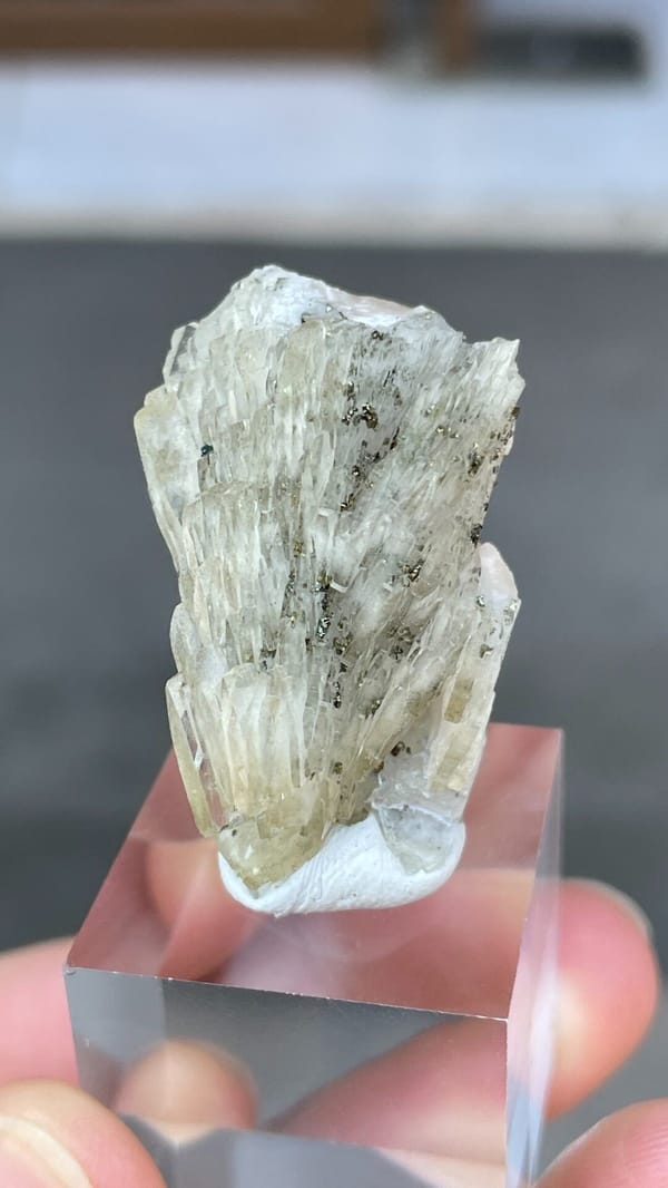 Pale grey-green bladed baryte from Morocco, on an acrylic stand, reverse side