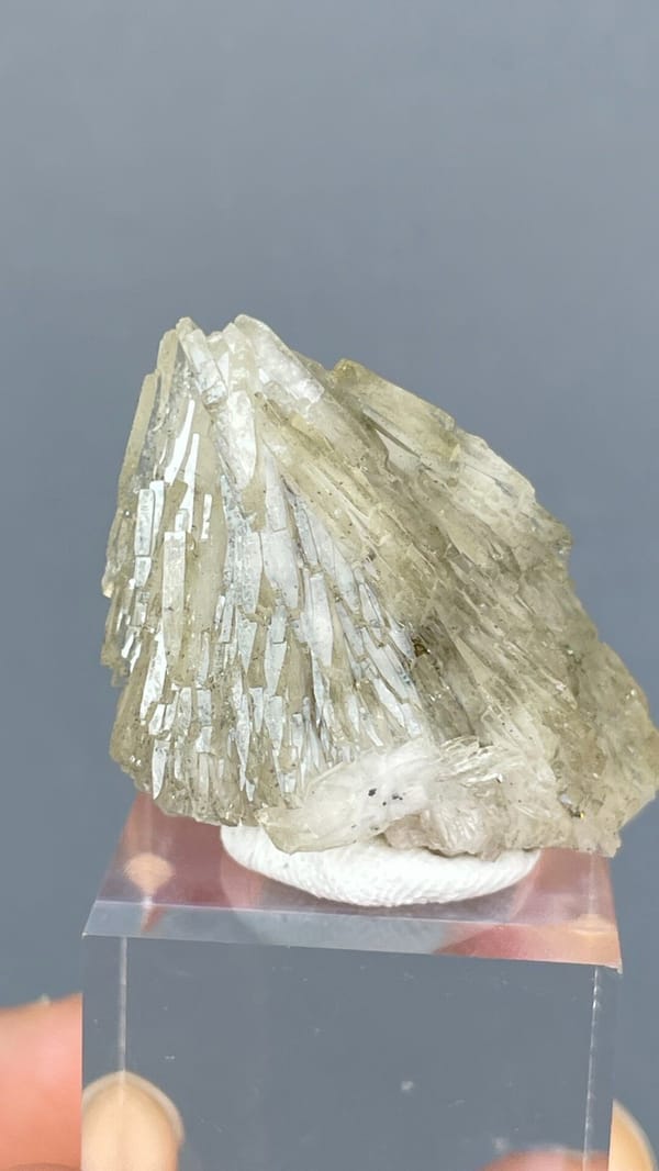 Pale straw-coloured bladed baryte fan from Morocco, on an acrylic stand