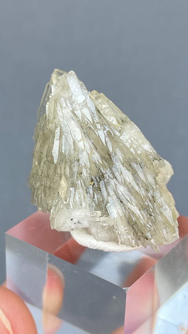 Pale straw-coloured bladed baryte fan from Morocco, on an acrylic stand, second angle