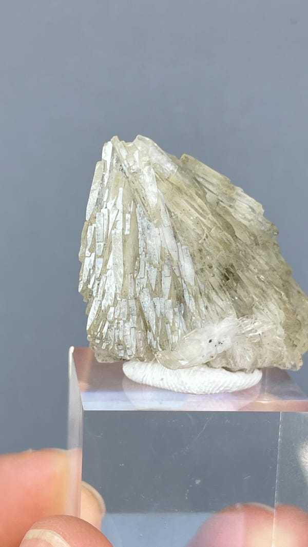 Pale straw-coloured bladed baryte fan from Morocco, on an acrylic stand, reverse side