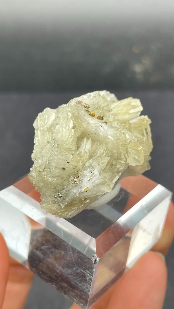 Pale straw-yellow bladed baryte fan from Morocco, on an acrylic stand, second angle