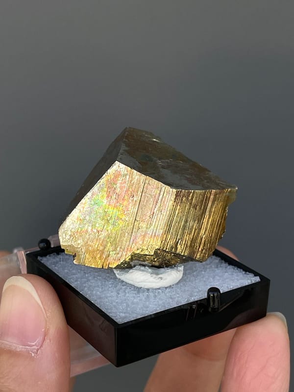 Brassy striated pyrite crystal from Yunnan, China, in a display box