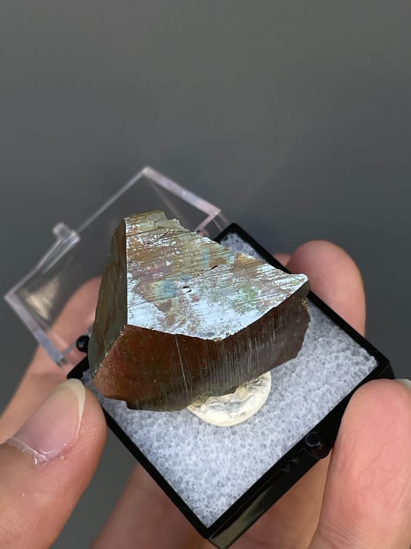 Brassy striated pyrite crystal from Yunnan, China, in a display box, reverse side