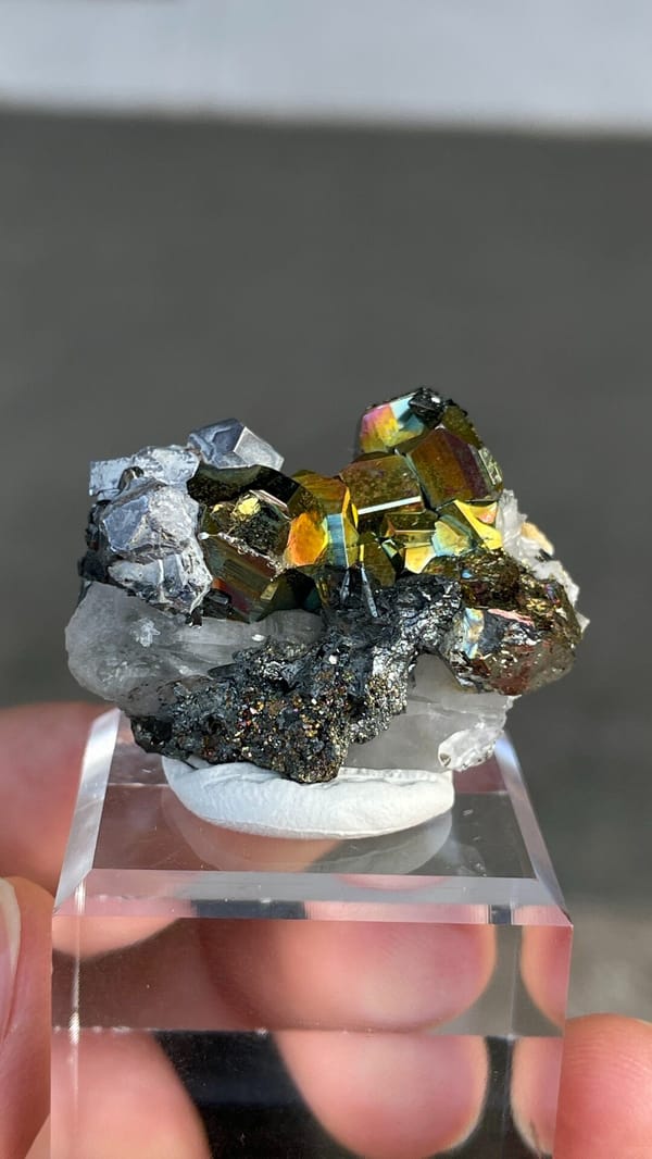 Iridescent pyrite crystals with grey galena from Peru, on an acrylic stand