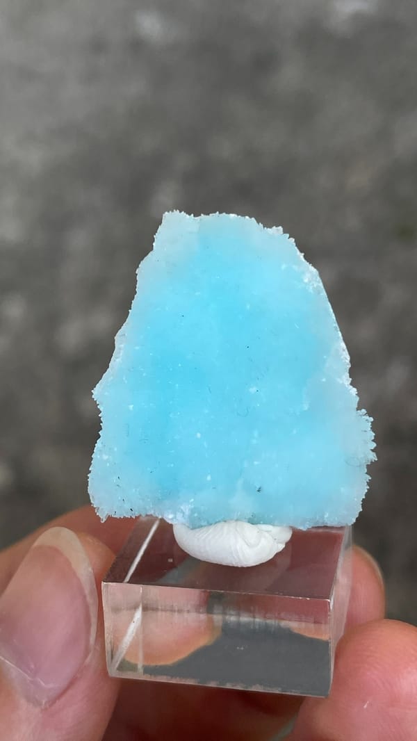 Sky-blue fibrous aragonite crust from Yunnan, China, on an acrylic stand, reverse side
