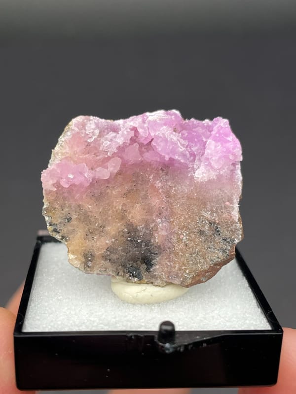 Magenta-pink botryoidal aragonite crust on pale slab from Yunnan, China, in a box
