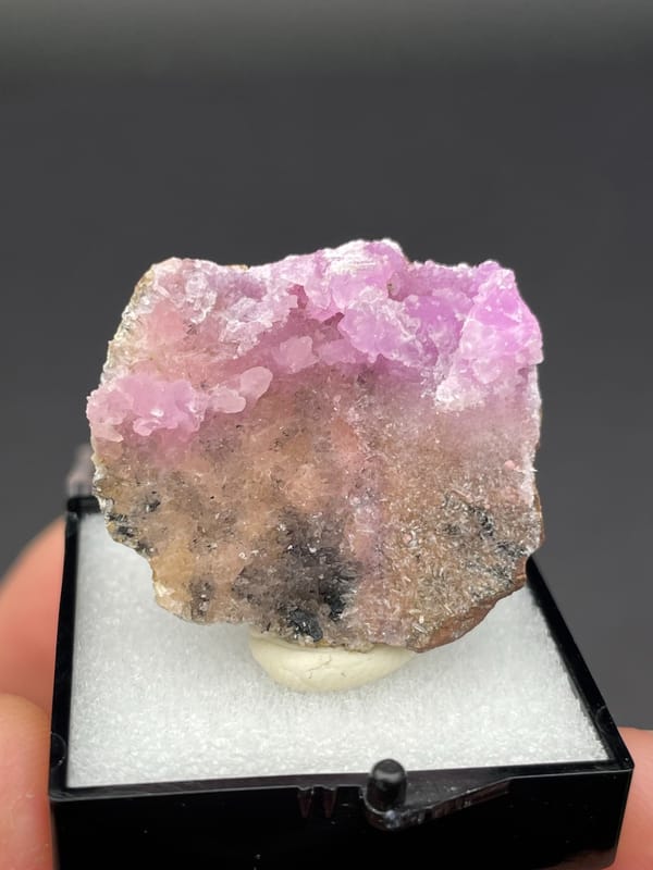 Magenta-pink botryoidal aragonite crust on pale slab from Yunnan, China, in a box, top view