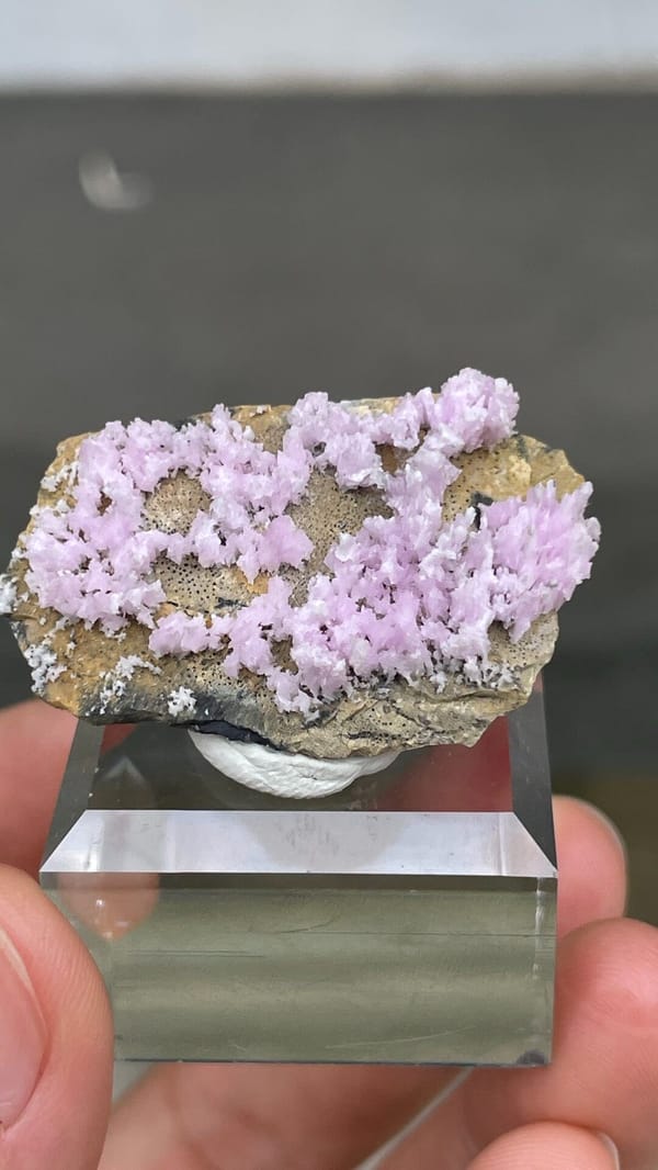 Pale pink aragonite sprays on tan matrix from Yunnan, China, close-up of the crystal faces