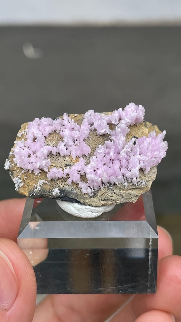 Pale pink aragonite sprays on tan matrix from Yunnan, China, reverse side