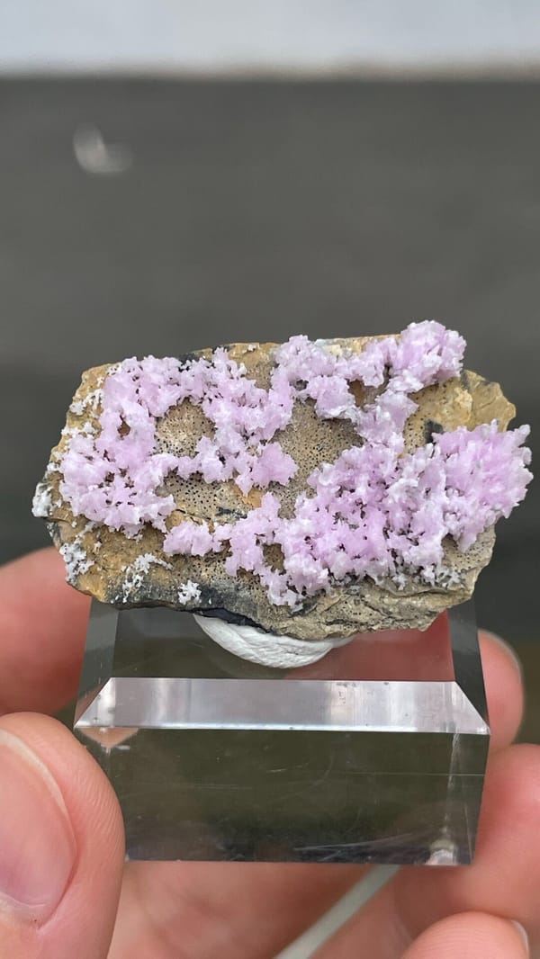 Pale pink aragonite sprays on tan matrix from Yunnan, China, top view