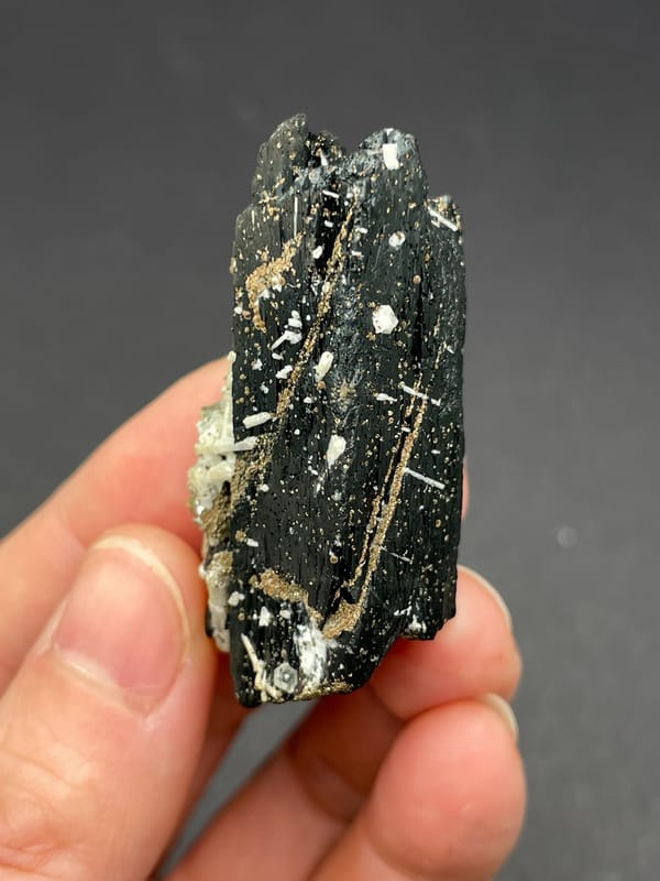 Black prismatic crystal crossed by white quartz from Inner Mongolia, China