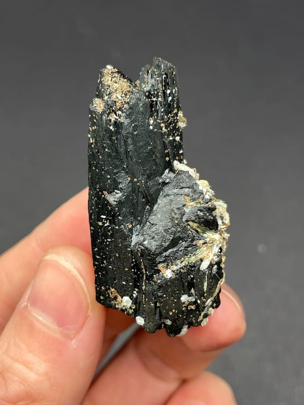 Black prismatic crystal crossed by white quartz from Inner Mongolia, China, close-up of the crystal faces
