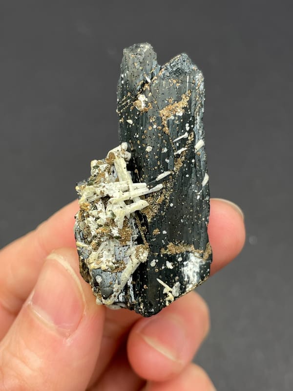 Black prismatic crystal crossed by white quartz from Inner Mongolia, China, reverse side