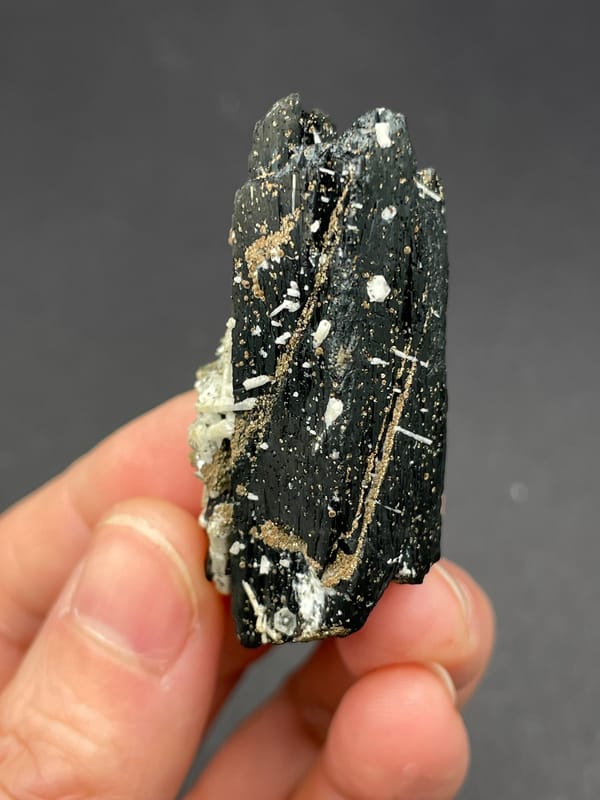 Black prismatic crystal crossed by white quartz from Inner Mongolia, China, top view
