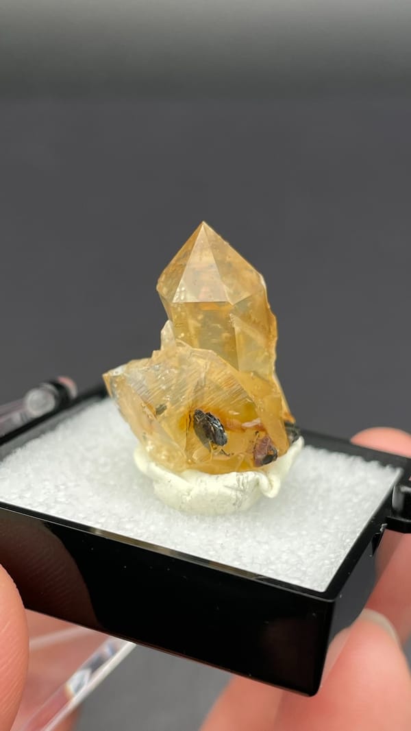 Caramel-brown transparent quartz crystal from Guangdong, China, in a display box, top view