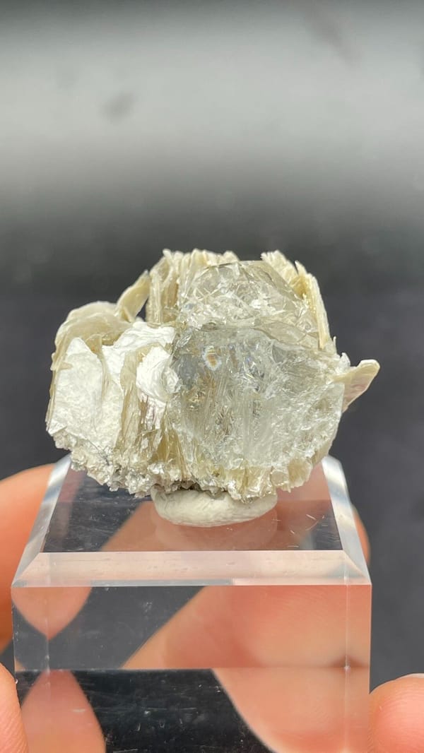 Pale aquamarine among yellow-green mica books, Xuebaoding, Sichuan, China