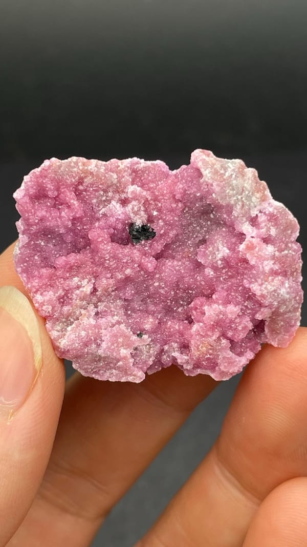 Bright rose-pink cobaltoan calcite crust from DR Congo, held in hand