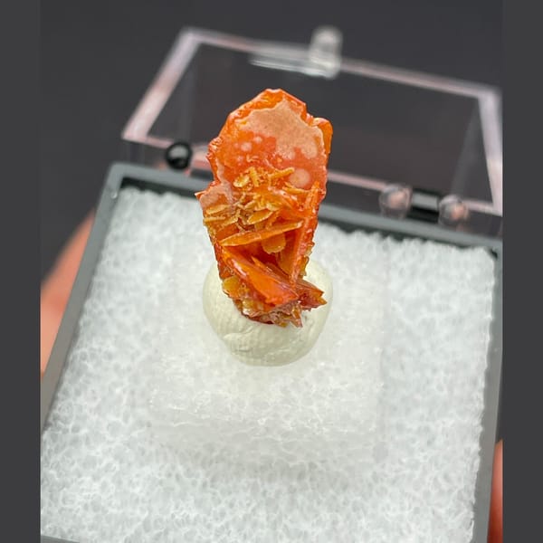 Tabular crystals of orange wulfenite from Xinjiang, one-of-a-kind specimen, photo 3 of 8