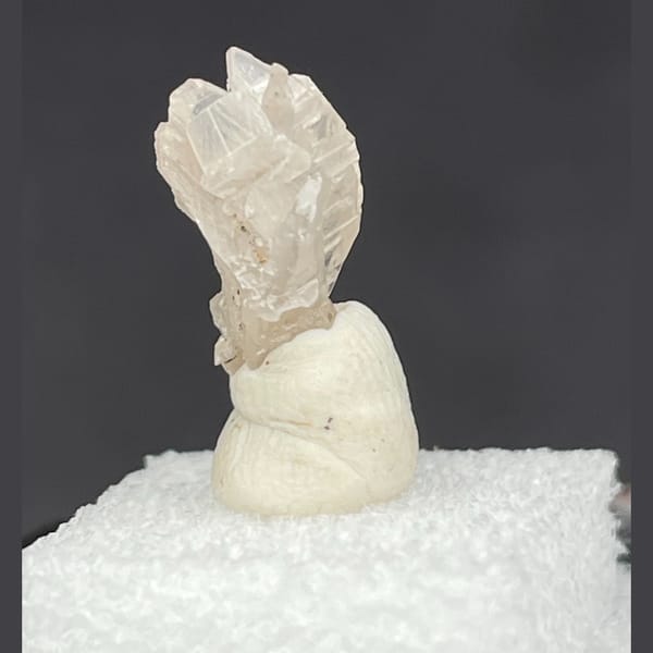 White cerussite crystal cluster, natural mineral specimen, photo 1 of 6
