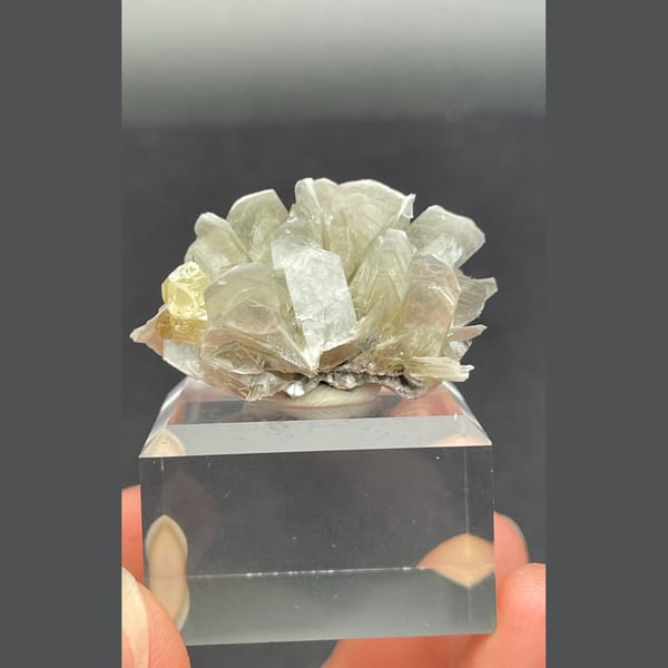 Scheelite crystal with mica from Xuebaoding, Sichuan, China, natural mineral specimen, photo 1 of 6